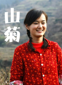 com网站色